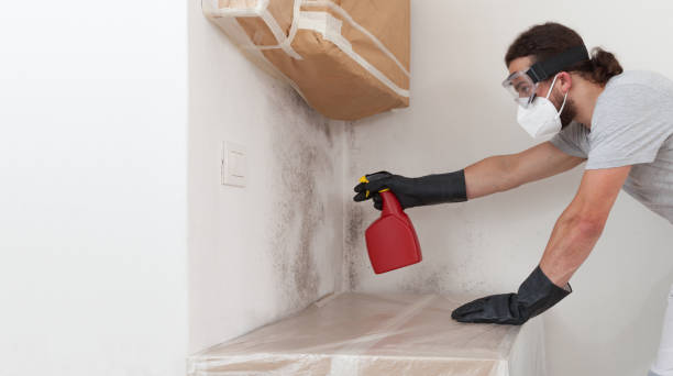Professional Bathroom Mold Removal technician working in Tracys Landing, MD